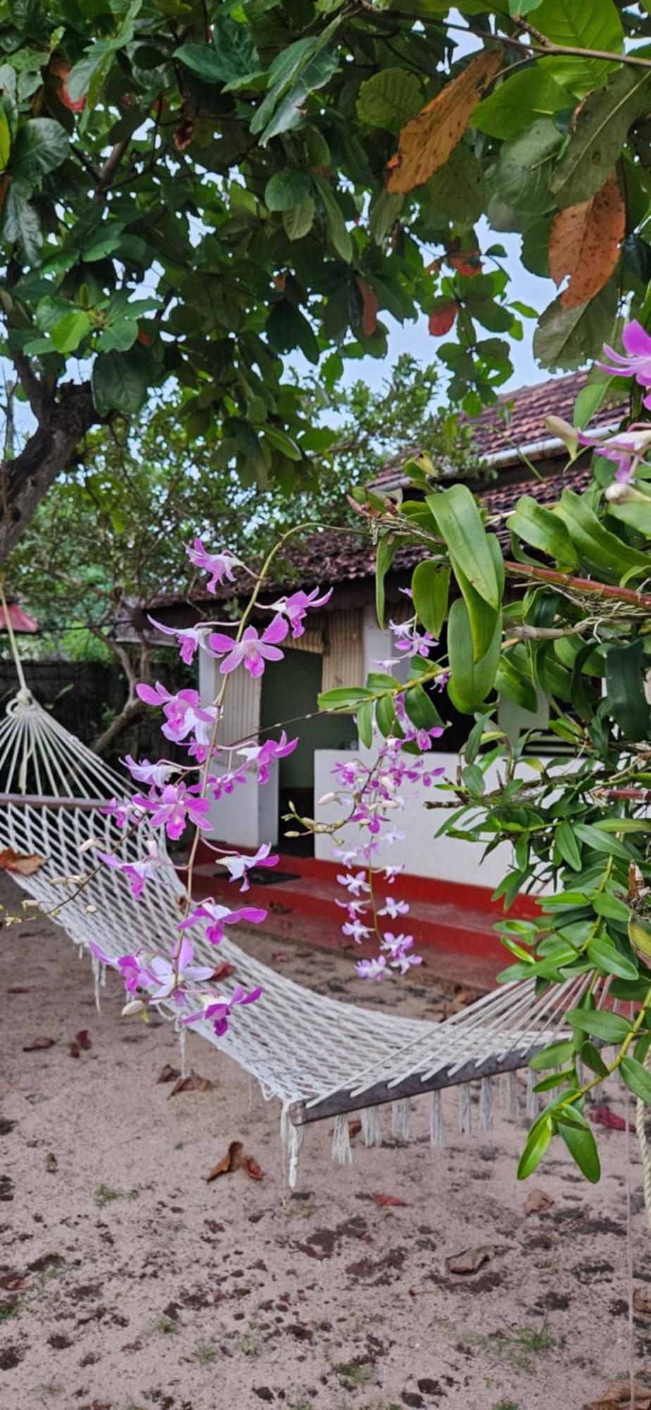 Angeo Beach House Alappuzha Εξωτερικό φωτογραφία